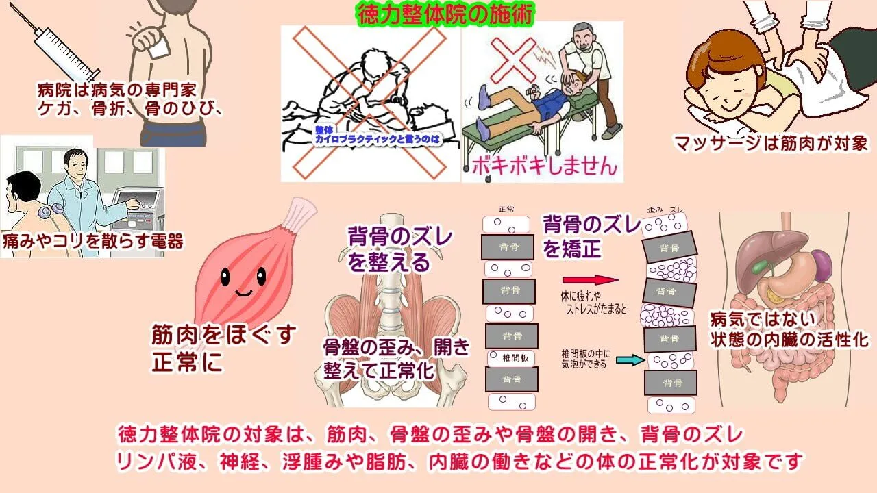 北九州市小倉南区と小倉北区からも徳力整体院は肩こり、腰痛、頭痛、生理痛、便秘、膝の痛み、首のコリ