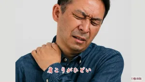 腰の痛みが起きるのは、筋肉だけの問題ではない