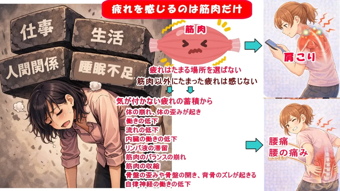 体の崩れ、体の歪みから北九州市 小倉南区 整体 徳力整体院 肩こり、腰痛、頭痛、生理痛、便秘、膝の痛み、首のコリに