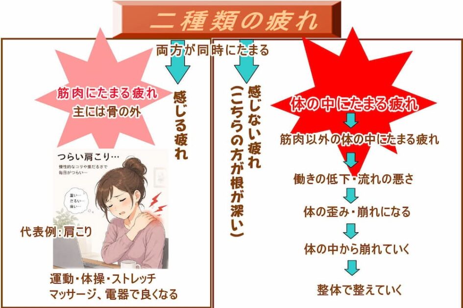 疲れには2種類の疲れがある。疲れは両方にたまりながら働きの低下・流れの悪さを起こしていく。北九州市・小倉の徳力整体院。