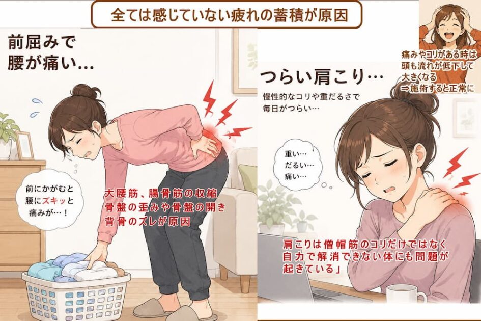 働きの低下が起き体の中が元気な状態ではないから痛みやコリが起きる。北九州市・小倉の徳力整体院。